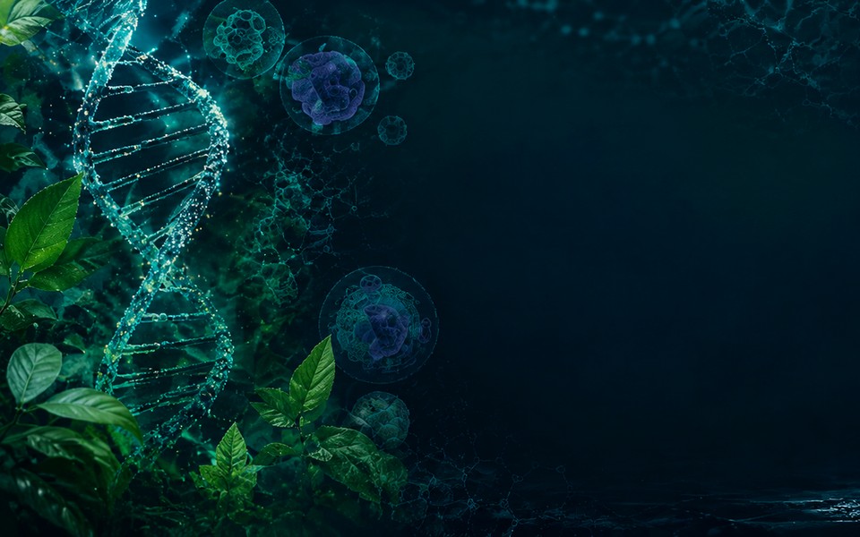 Biotechnology and its Applications